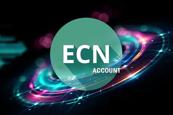 STP vs. ECN - Account Differences and Choices