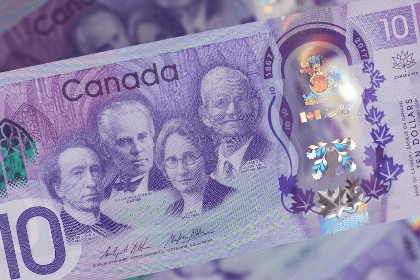 Canadian Dollar Characteristics and Exchange Rate Dynamics