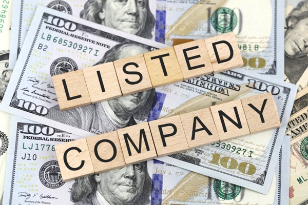 Listed Company's Investment Insights