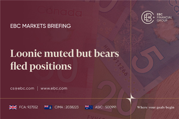 ​Loonie ปิดเสียงแต่หมีหนีออกจากตำแหน่ง