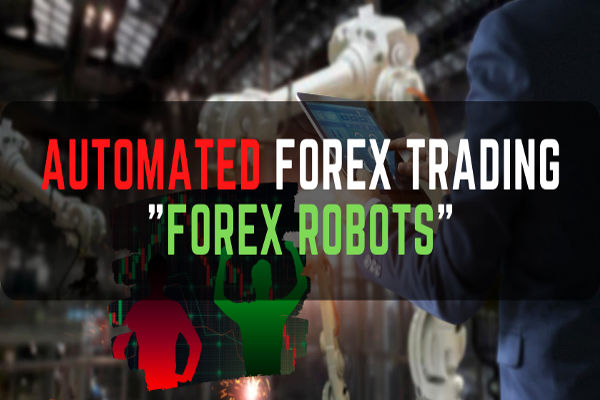 Giao dịch Forex tự động dành cho người mới bắt đầu: Những điều cần biết
