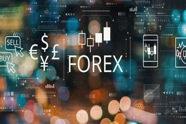 How to Pick the Best Forex Trading Brokers for You