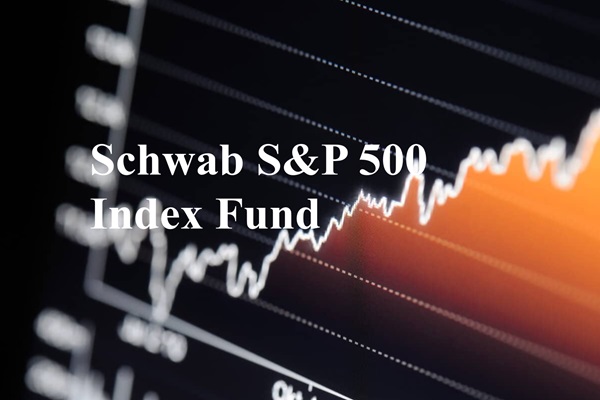 Memahami SWPPX: Kelebihan, Performa, dan Peran Portofolio