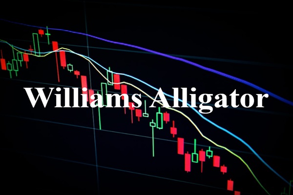 Ngủ hay ăn? Hiểu về cá sấu Williams